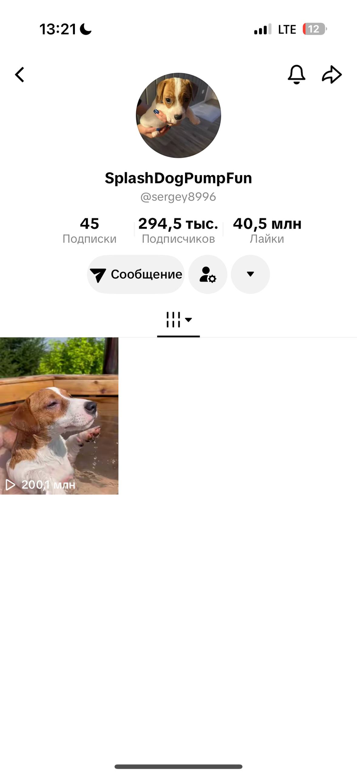 SplashDog TikTok profile showing the viral tub video